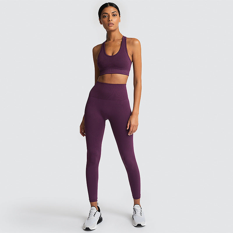 SculptFit Seamless Gym Set – Women’s 2-Piece Activewear