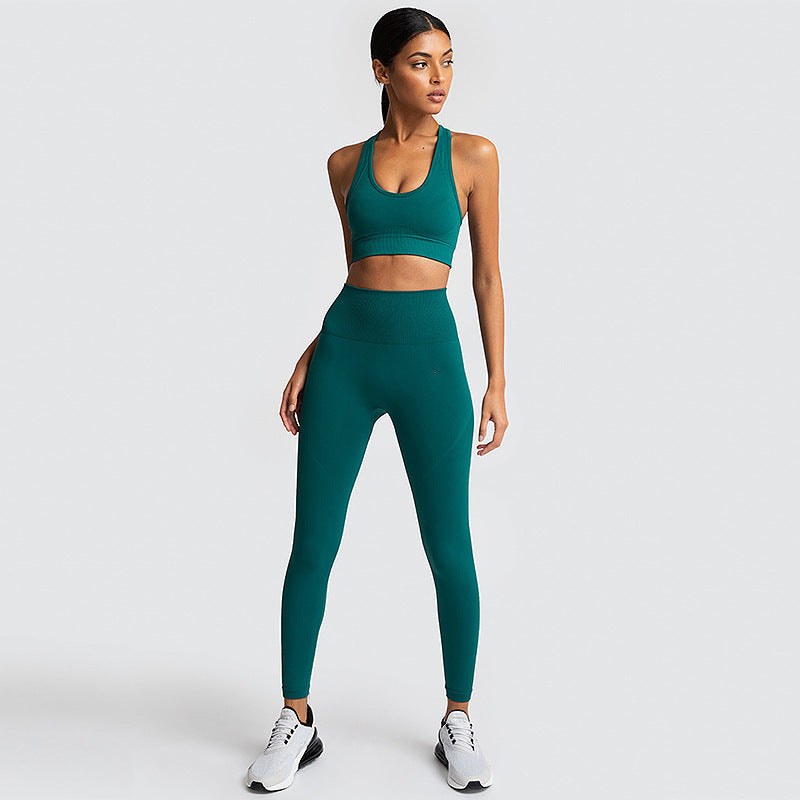 SculptFit Seamless Gym Set – Women’s 2-Piece Activewear