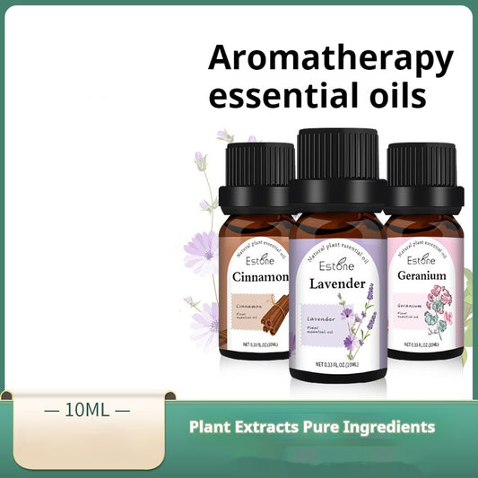 Plant Aromatherapy Stone & Skin Care Massage Oil Set